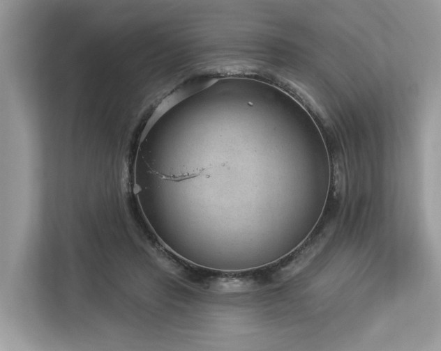 X0000112980453200908271146