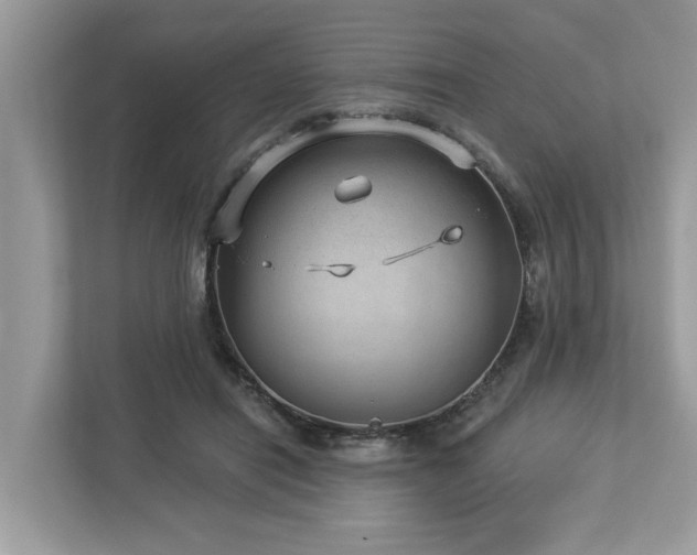 X0000112980454200908271146