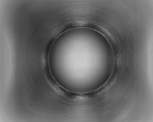 X0000112980455200908271146