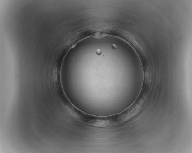 X0000112980458200908271146