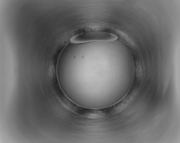 X0000112980459200908271146