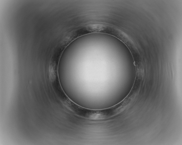 X0000112980460200908271146