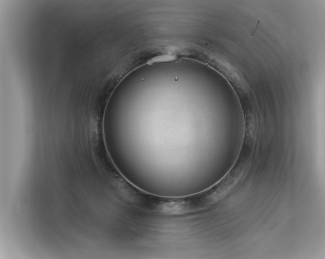 X0000112980461200908271146