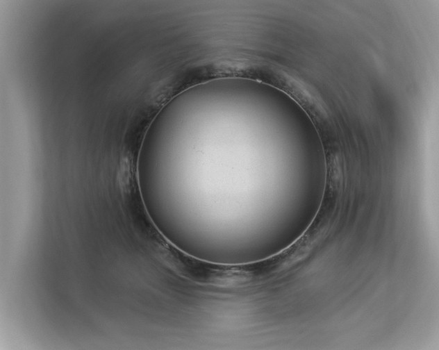 X0000112980463200908271146
