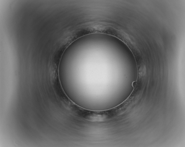 X0000112980464200908271147