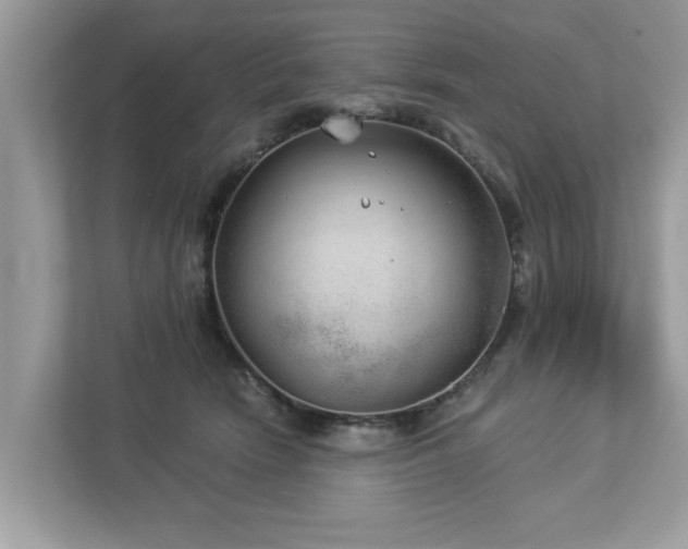 X0000112980466200908271147