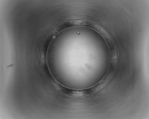 X0000112980469200908271147