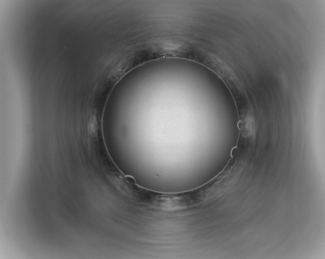 X0000112980472200908271147