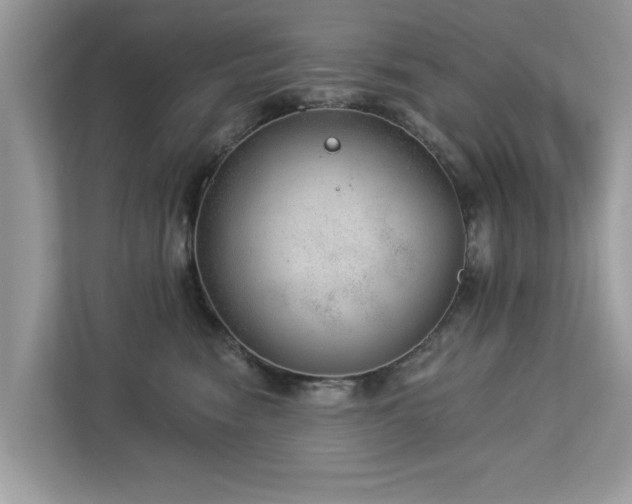 X0000112980474200908271147