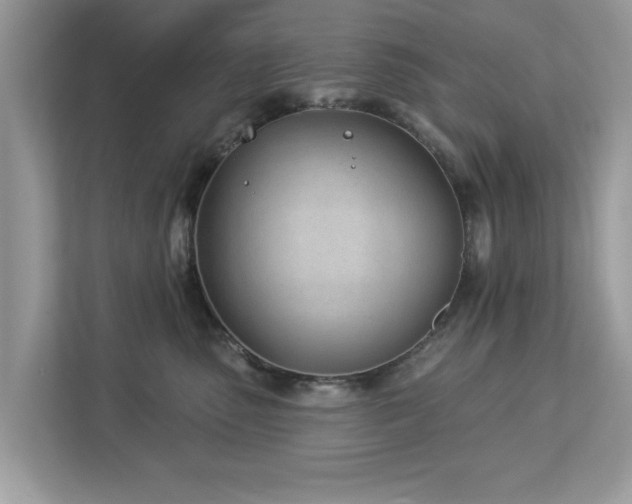 X0000112980475200908271147