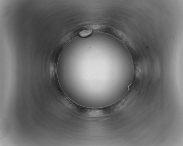 X0000112980476200908271147