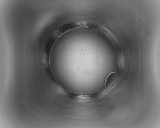 X0000112980477200908271147