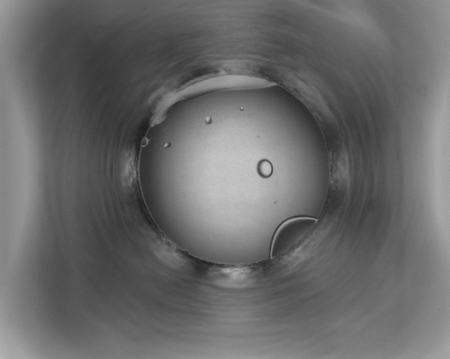 X0000112980478200908271147