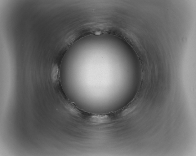 X0000112980480200908271147
