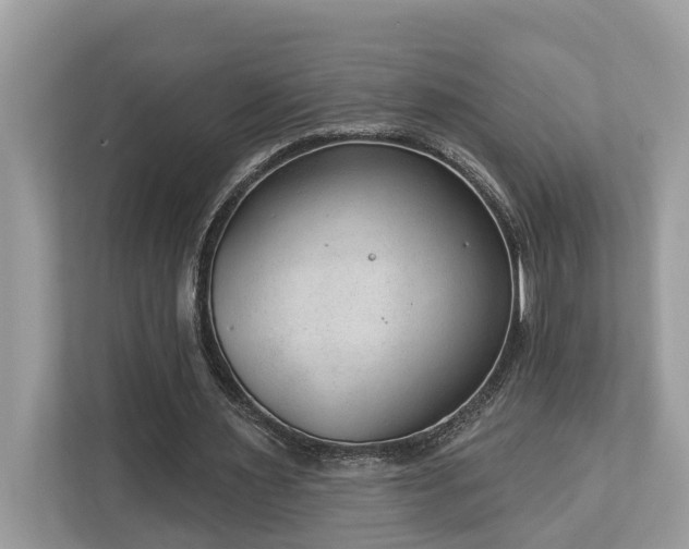 X0000112980483200908271146