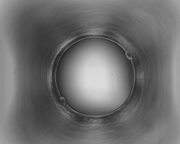 X0000112980484200908271146