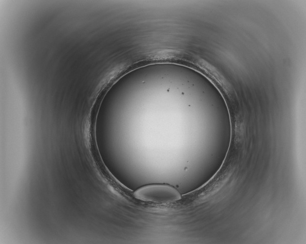 X0000112980485200908271146