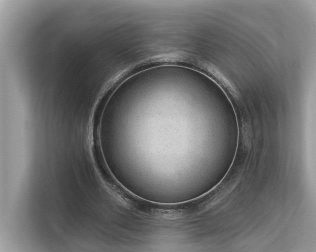 X0000112980486200908271146