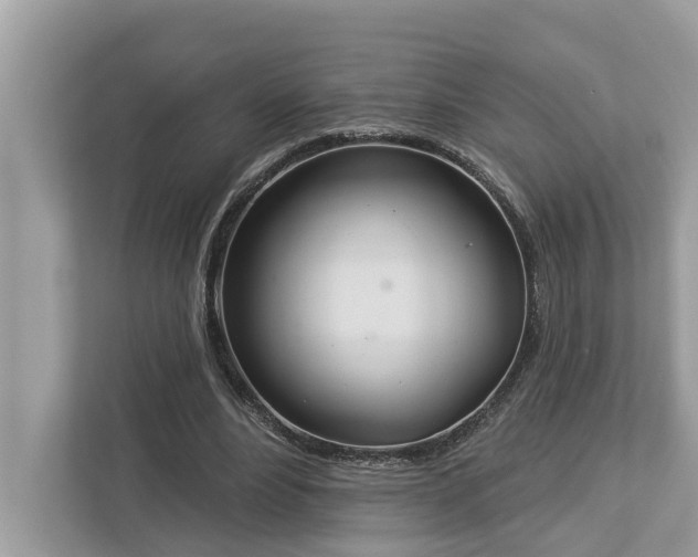 X0000112980488200908271146