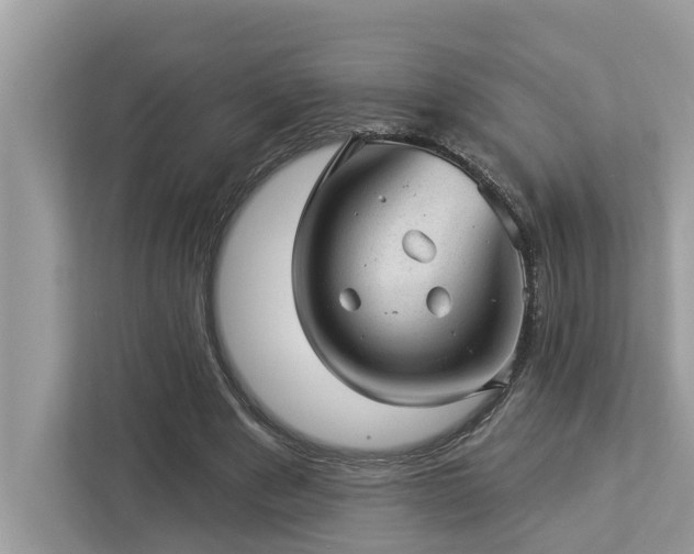 X0000112980489200908271146