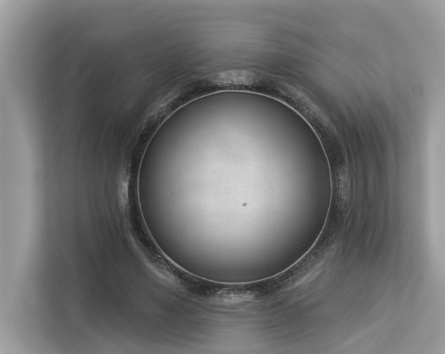 X0000112980491200908271146