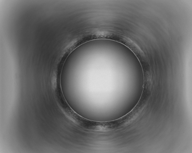 X0000112980496200908271146