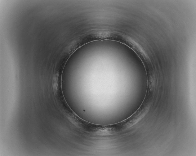 X0000112980497200908271146