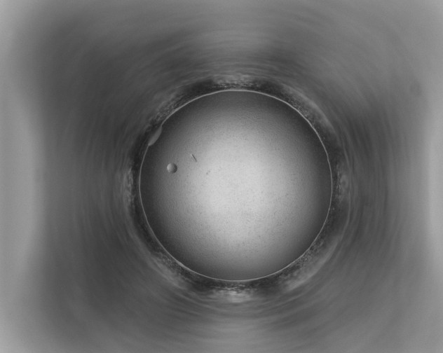 X0000112980498200908271146