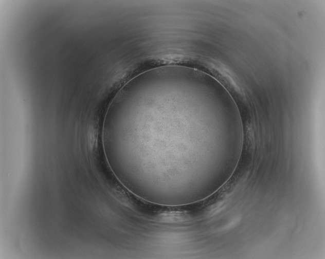 X0000112980499200908271146