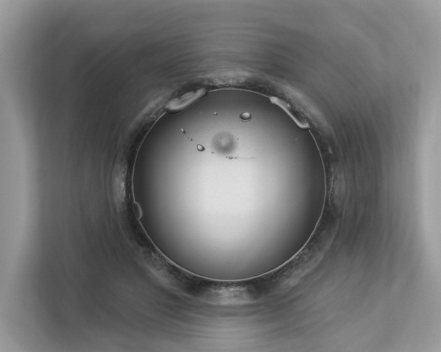 X0000112980501200908271146
