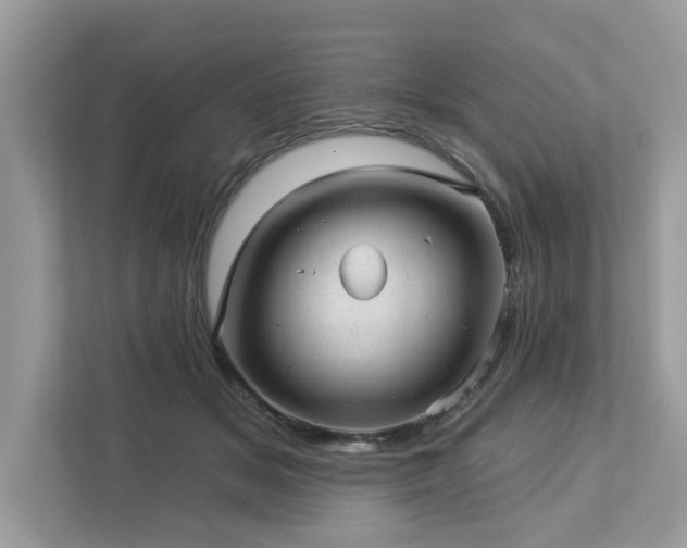 X0000112980509200908271146