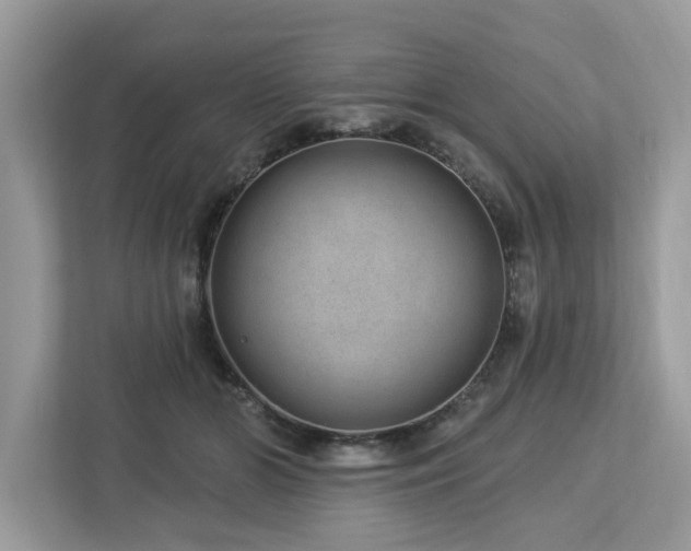 X0000112980510200908271146