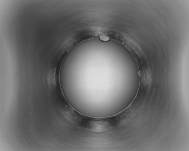 X0000112980512200908271146