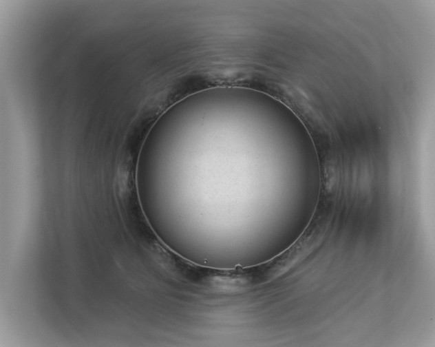 X0000112980515200908271146
