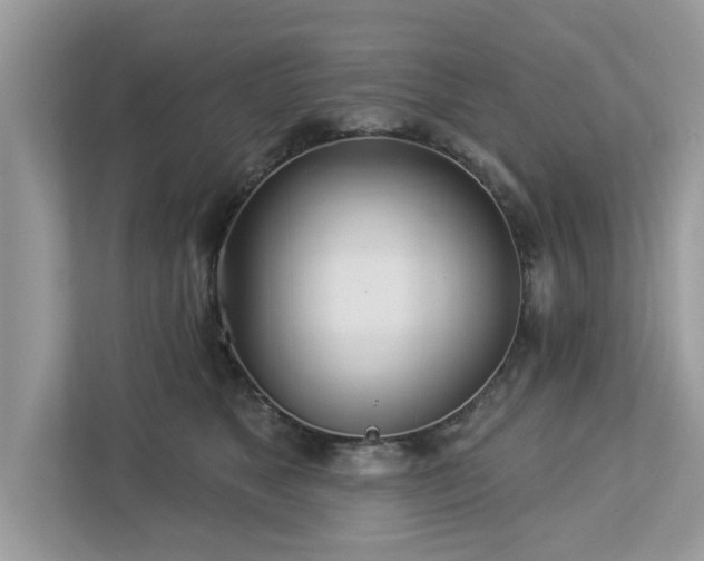 X0000112980517200908271146