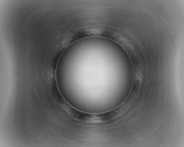X0000112980518200908271146