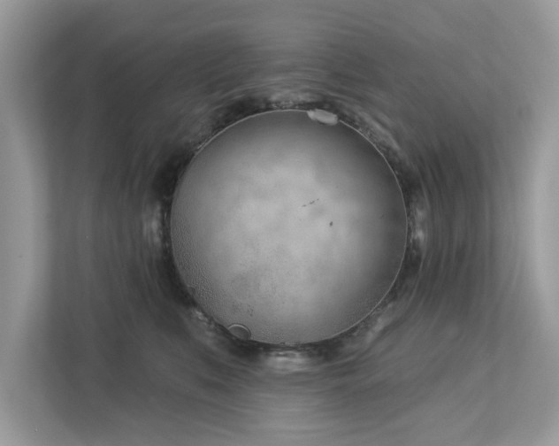 X0000112980519200908271146