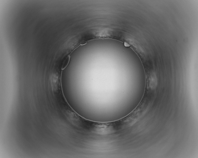 X0000112980521200908271146