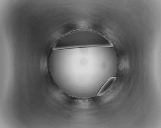 X0000112980524200908271146