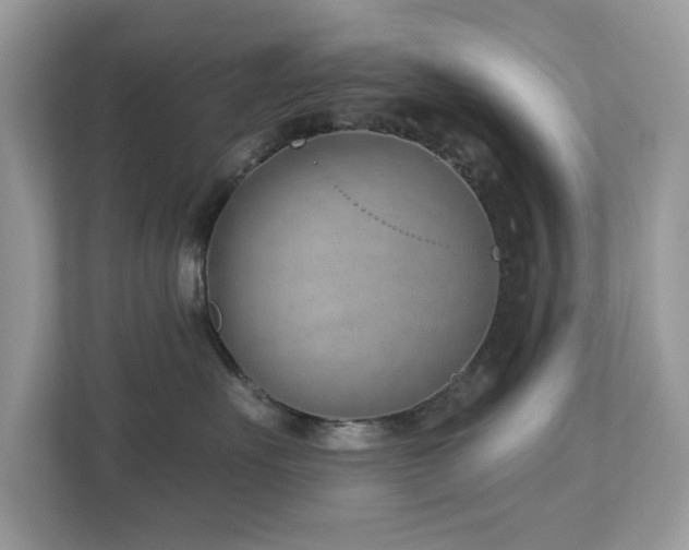 X0000112980527200908271145
