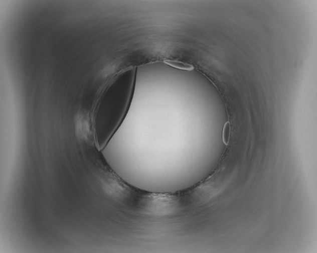 X0000112980528200908271145