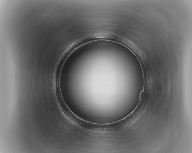 X0000112980530200908271145