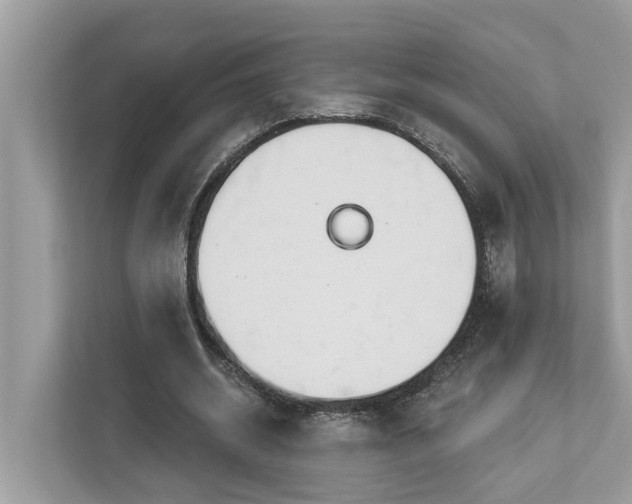 X0000112980534200908271145