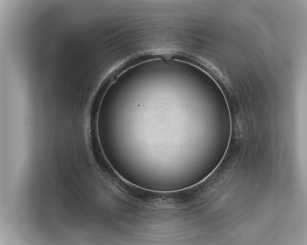 X0000112980535200908271145