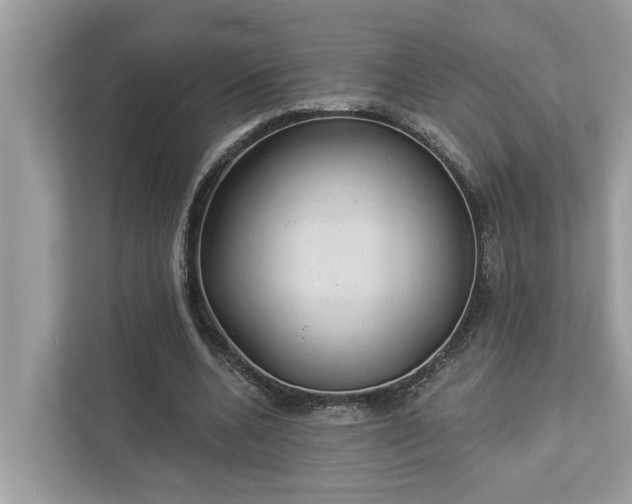 X0000112980536200908271145