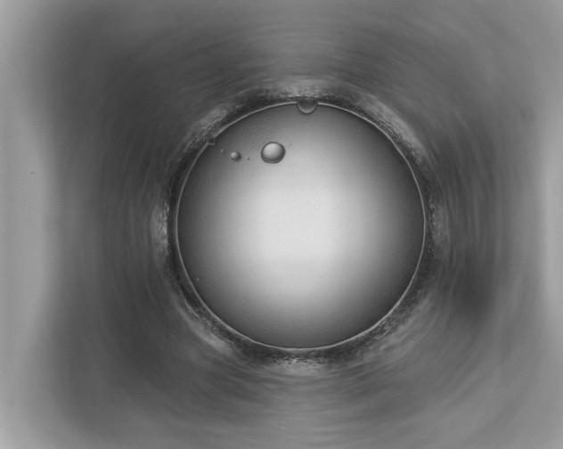 X0000112980537200908271145