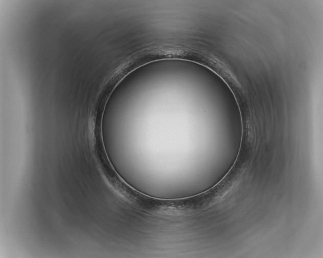X0000112980538200908271145