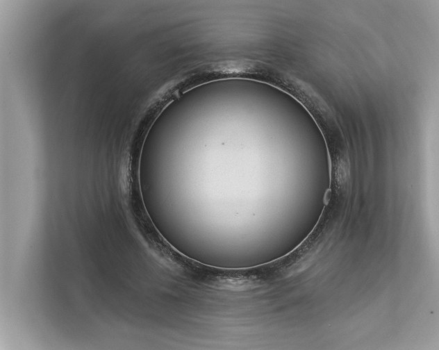 X0000112980540200908271145