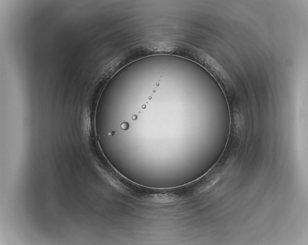 X0000112980541200908271145