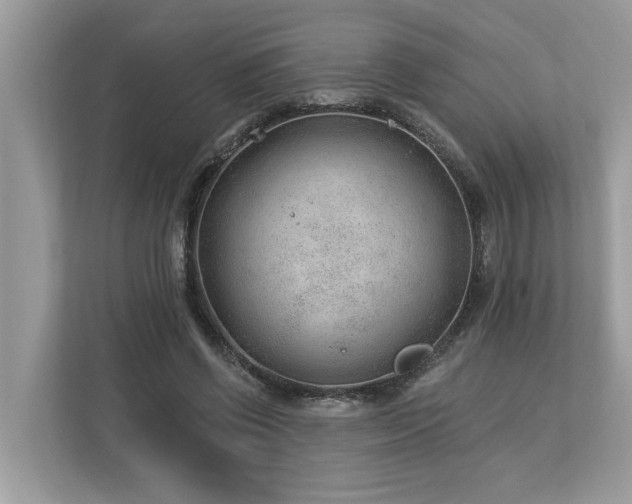 X0000112980542200908271145